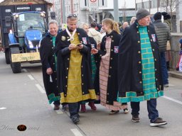 Simmeringer Faschingsumzug 2025